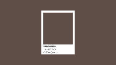 Pantone Trendfarben 2022 Coffee Quartz