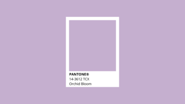 Pantone Trendfarben 2022 Orchid Bloom