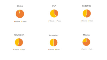 Verteilung von Theorie- und Praxisinhalten im Studium nach Ländern