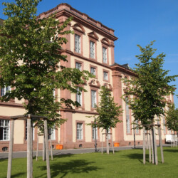 Gebäude der Mannheim Business School (Quelle: Mannheim Business School)