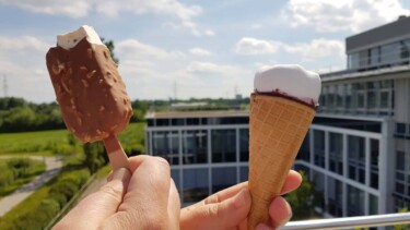 Ausblicke aus dem Büro