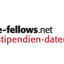 Logo der Stipendien-Datenbank [Quelle: e-fellows.net]