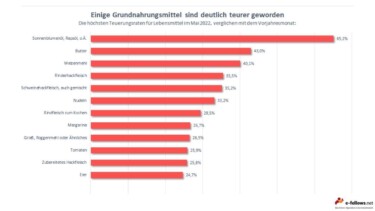 Grafik, Inflation, Teurere, Lebensmittel [Quelle: e-fellows.net]