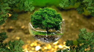 Nachhaltigkeitsmanager [Quelle: pixabay.com]
