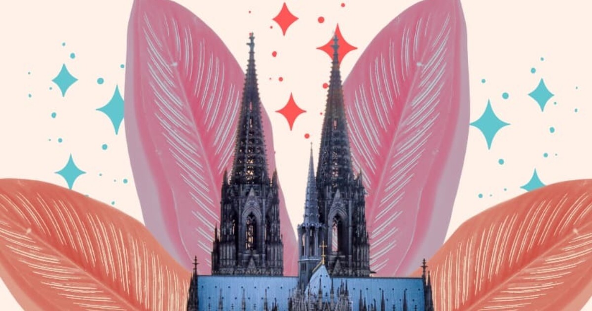 Studieren in Köln - e-fellows.net