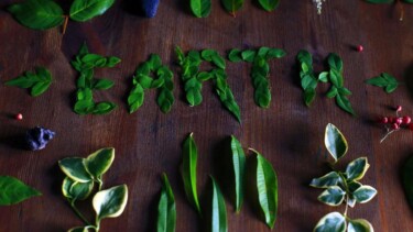 Buchstaben E A R T H Pflanzen Holz [Quelle: unsplash.com, Autor: Miriam Espacio]