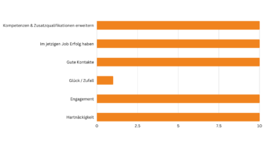 Balkendiagramm, das die jeweiligen Werte visualisiert. Kompetenzen und Zusatzqualifikationen erwerben: 10. Im jetzigen Job Erfolg haben: 10. Gute Kontakte: 10. Glück/Zufall: 1. Engagement: 10. Hartnäckigkeit: 10. [Quelle: e-fellows.net]