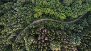 Grün, Landstrich, Siegen [Quelle: unsplash.com, Autor: Marc Lipscke]