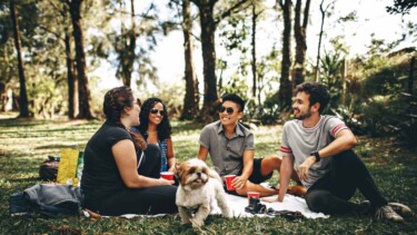 Vier junge Menschen und ein Hund picknicken im Wald