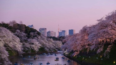Fluss mit Booten in Tokyo
