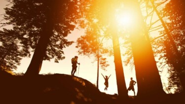 3 Wanderinnen und Wanderer gehen bei Sonnenuntergang durch einen Wald. Eine Person springt freudig in die Luft.