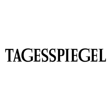 Tagesspiegel, Abos, e-fellows.net [Quelle: Tagesspiegel]