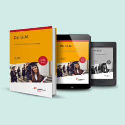 Cover Der LL.M. 2023 [Quelle: e-fellows.net]