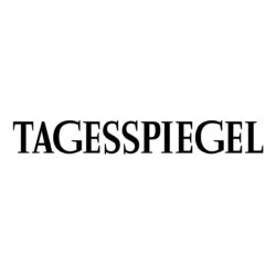 Tagesspiegel, Abos, e-fellows.net [Quelle: Tagesspiegel]