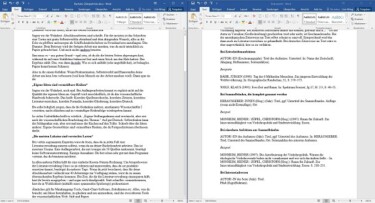 Screenshot zweier nebeneinander geöffneten Worddokumente, die wie im Text beschreiben gegliedert sind