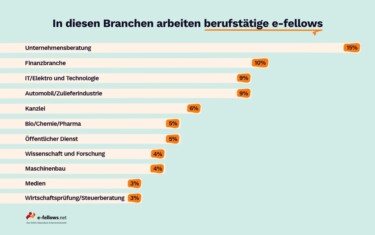 In dieses Branchen arbeiten berufstätige e-fellows