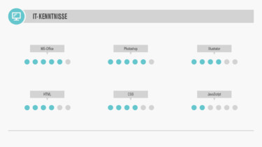 Kreativer Lebenslauf IT-Kenntnisse [Quelle: e-fellows.net]