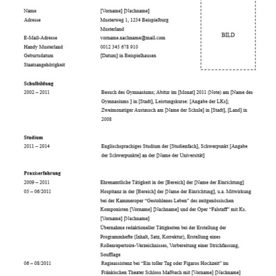 Beispiel Lebenslauf Muster Geisteswissenschaftler [Quelle: e-fellows.net]