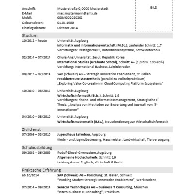 Beispiel Lebenslauf Muster Informatik [Quelle: e-fellows.net]