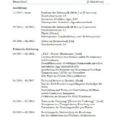 Beispiel-Lebenslauf Informatik Master zum Download [Quelle: e-fellows.net]