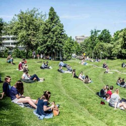 Studierende sitzen im Park der Brussels School of Governance