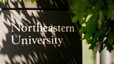 Eine Fassade auf der "Northeastern University" steht. Im Vordergrund grüne Blätter.