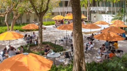 Orange Schirme auf dem Campus der University of Miami School of Law