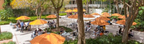 Orange Schirme auf dem Campus der University of Miami School of Law