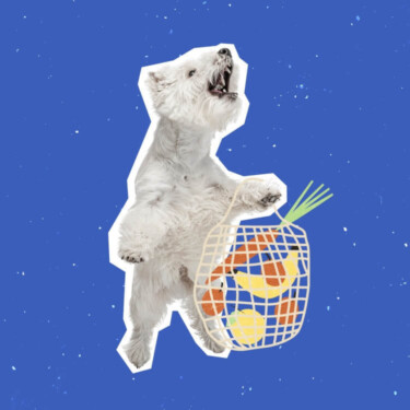 Ein weißer Hund steht auf den Hinterbeinen. Er trägt ein mit Obst und Gemüse gefülltes Einkaufsnetz.