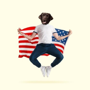 Menschlicher Körper mit Hundekopf und USA Flagge hinter seinem Rücken in der Hand