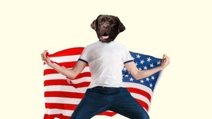 Menschlicher Körper mit Hundekopf und USA Flagge hinter seinem Rücken in der Hand