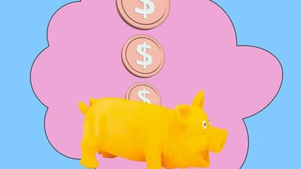 In ein Sparschwein werden Münzen eingezahlt [© Porechenskaya – stock.adobe.com]