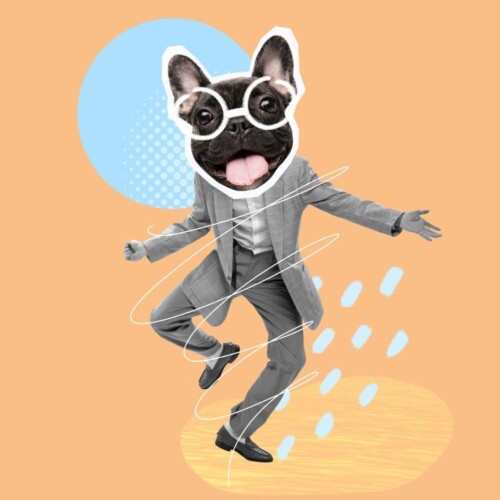 Tanzende Person, deren Kopf durch einen Hundekopf, der eine Brille trägt und dessen Zunge heraushängt, ersetzt wurde.