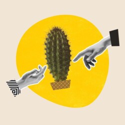 Zwei Hände berühren mit den Zeigefingern einen Kaktus.