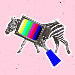 Alter Fernseher mit Prüfbild, eine Hand drückt auf die Knöpfe. Im Hintergrund ein Zebra.