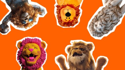 Verschiedene Löwen sind vor einem orangen Hintergrund im Kreis angeordnet und lächeln in die Kamera.