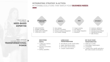 Integration Management Consulting Business Needs