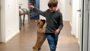 Hund und Kind bei der ZEIT - Bildergalerie ZEIT