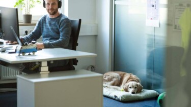 Der Hund mit im Büro - Bildergalerie ZEIT