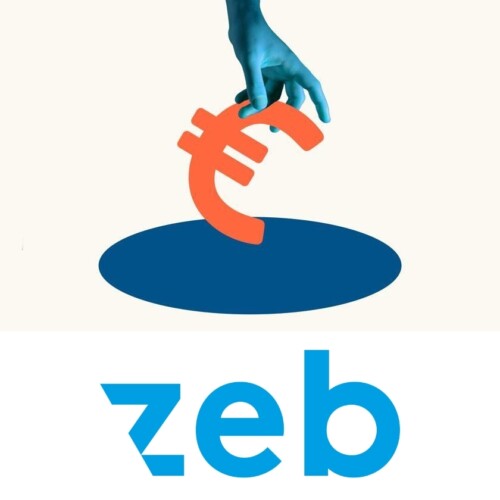 Eine blaue Hand greift nach dem Euro Symbol. Darunter das Logo von zeb Consulting